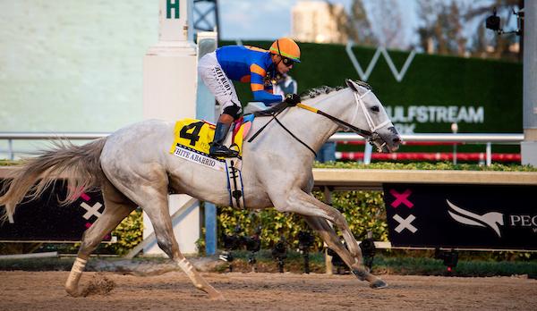White Abarrio, Pegasus World Cup, Gulfstream Park, America's Best Racing, horse racing, ABR
